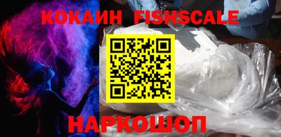 индика Гусь-Хрустальный
