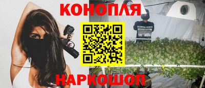 индика Гусь-Хрустальный
