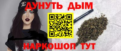 индика Гусь-Хрустальный