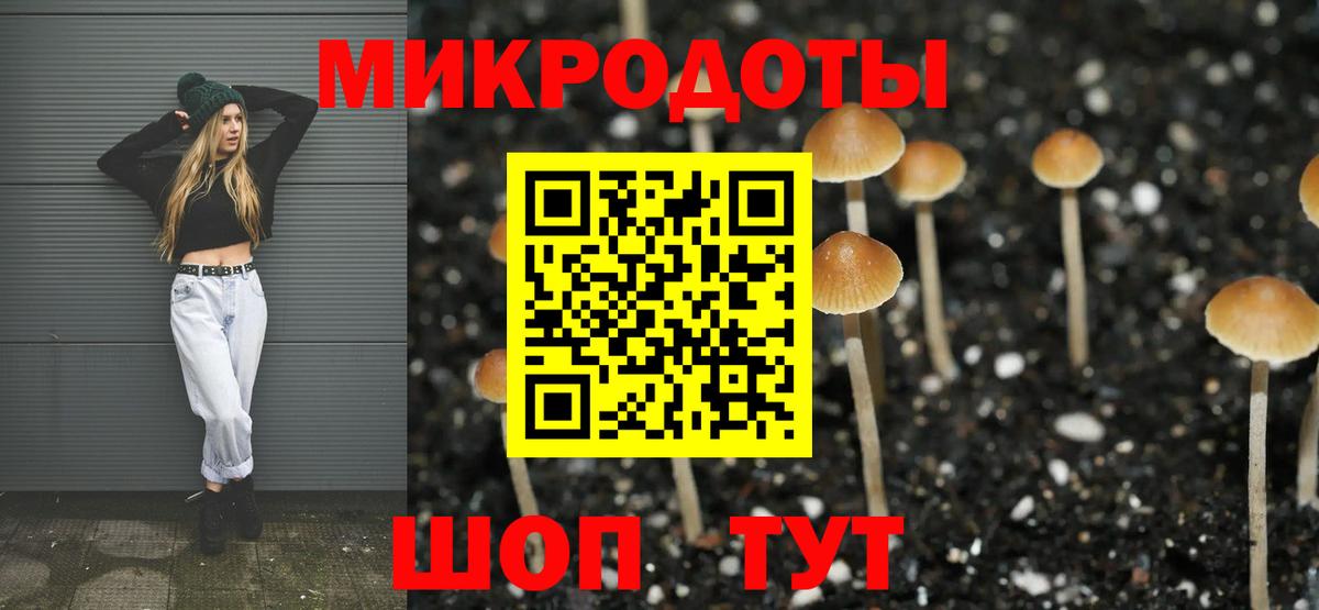 Галлюциногенные грибы прущие грибы  Котовск 