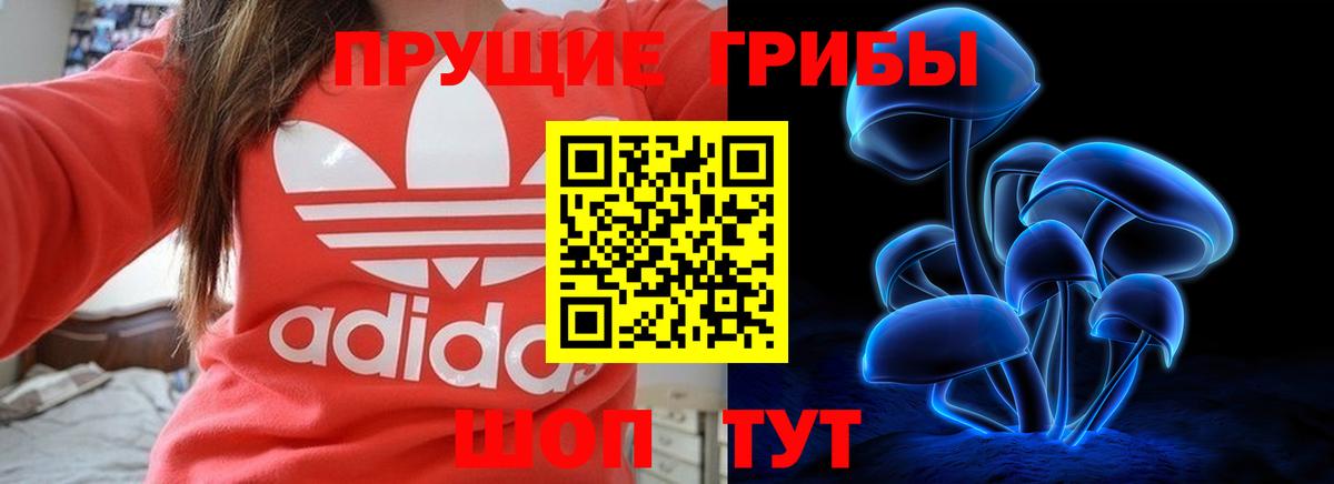 Галлюциногенные грибы Magic Shrooms Котовск